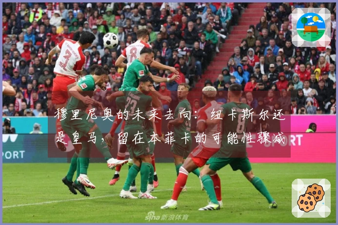 穆里尼奥的未来去向：纽卡斯尔还是皇马，留在本菲卡的可能性骤减